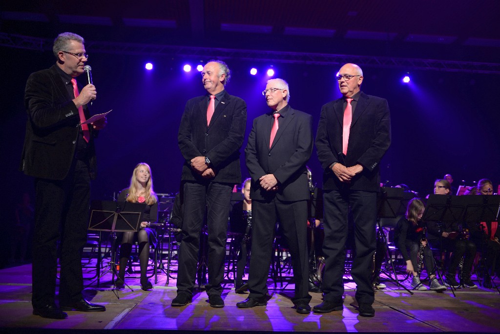../Images/Jubileumconcert 100 jaar Harpe Davids 151.jpg